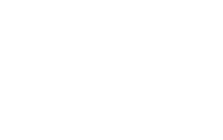 Bringmeister