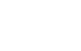 The Pioneer
